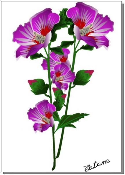 Une fleur